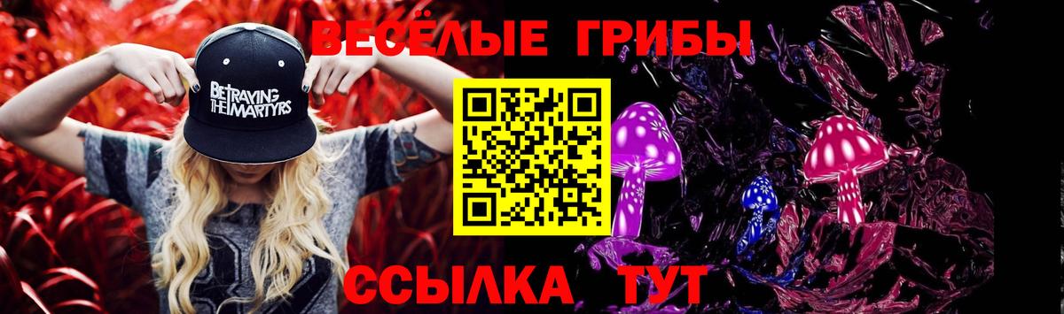 цена   Псилоцибиновые грибы GOLDEN TEACHER  Вход с VPN  Кушва 