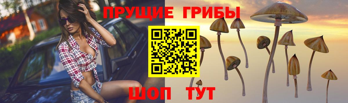 Бошки Шишки  ГАШИШ  Метамфетамин  Cocaine  Кушва  Лсд 25  Вход с VPN  Меф МЯУ МЯУ   Наркошоп 