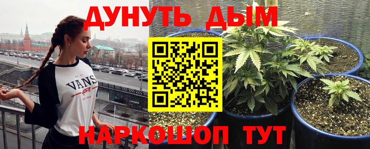 Кушва  Бошки Шишки SATIVA & INDICA  Марихуана SATIVA & INDICA  Каннабис индика  Вход с VPN  МАРИХУАНА план 
